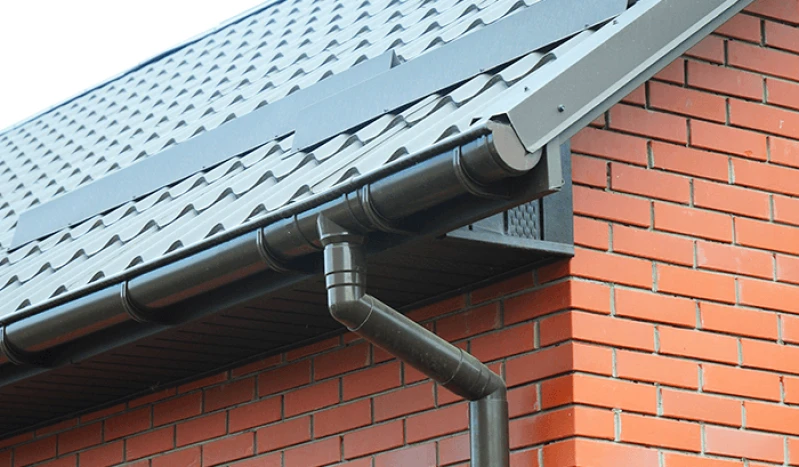 Rufo de Calha Rufo de Calha